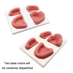 Gums Multiple Wounds Silicone Suture Practice Mold Four Teeth Oral Surgery Training Module For Medical Students - Image 2