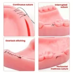 Gums Multiple Wounds Silicone Suture Practice Mold Four Teeth Oral Surgery Training Module For Medical Students - Image 4