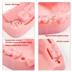 Gums Multiple Wounds Silicone Suture Practice Mold Four Teeth Oral Surgery Training Module For Medical Students - Image 5