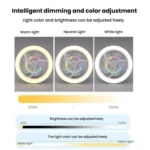 50W Ceiling Fan Light With E27 Socket 3 Speeds Adjustable RGB LED Strip - Image 5