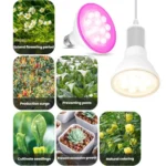 E27 Plant Growth Light Bulb Home Use Balcony Potted Plant Uniform Lighting Bulb - Image 3