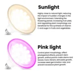 E27 Plant Growth Light Bulb Home Use Balcony Potted Plant Uniform Lighting Bulb - Image 4