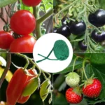 30m Garden Rope Fabric Cord Plant Support Ties - Image 6