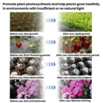 Sunlight LED Plant Growth Lamp Hanging Vegetable Flower Fill Light - Image 3