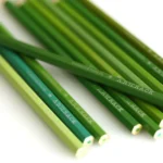 Oil-Based Colored Pencils Art Supplies Drawing Kit For Artists, Adults, Kids With English Packaging - Image 6