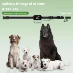 Color Screen Shock Collar Remote Control Dog Training Device - Image 3