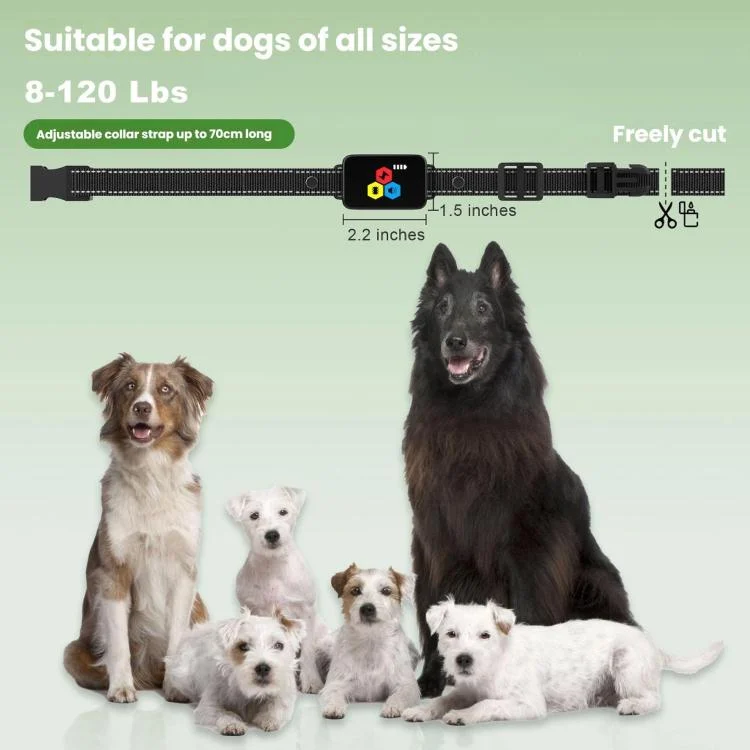 TBD06062682_B2.webp Color Screen Shock Collar Remote Control Dog Training Device - Image 3