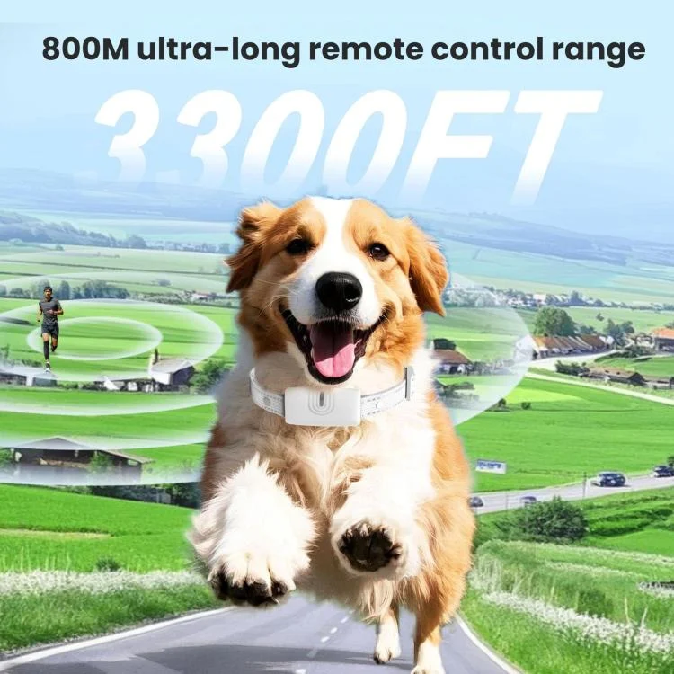TBD06062685_B5.webp Remote Control Dog Barking Control Device Rechargeable Waterproof Electric Shock Collar - Image 6
