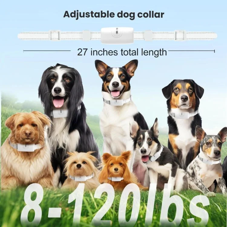 TBD06062685_B6.webp Remote Control Dog Barking Control Device Rechargeable Waterproof Electric Shock Collar - Image 7