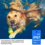 Remote Control Dog Training Device With Electric Shock Collar - Image 7