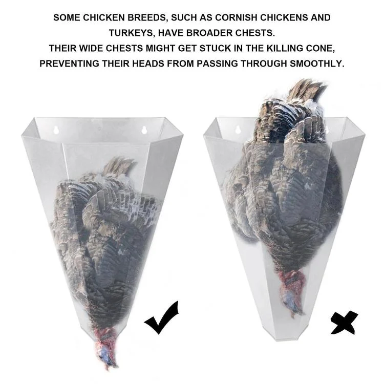 TBD06062979_B3.webp Heavy-duty Metal Poultry Cone for Chicken and Duck Restraint Funnels - Image 4