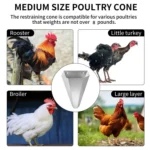 Heavy-duty Metal Poultry Cone for Chicken and Duck Restraint Funnels - Image 7