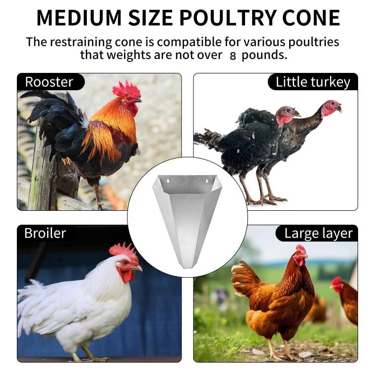 TBD06062979_B6.webp Heavy-duty Metal Poultry Cone for Chicken and Duck Restraint Funnels - Image 7