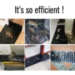 2 pcs Mouse Rodent Glue Rat Trap Board Mice Killer  Length:1.2m - Image 3