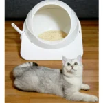 Cat Litter Box Pet Large Enclosed Toilet - Image 5