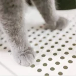 Plastic Flip Cover Fully Enclosed Deodorant Litter Box Pet Potty - Image 11