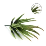Artificial Mini Aloe Plastic Plants Craft Floristry Landscape Garden Family Office Decoration - Image 5