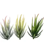 Artificial Mini Aloe Plastic Plants Craft Floristry Landscape Garden Family Office Decoration - Image 7