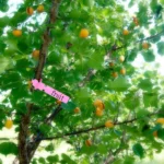 100 PCS Gardening Plant Sapling Seed Hanging Tree Label - Image 4
