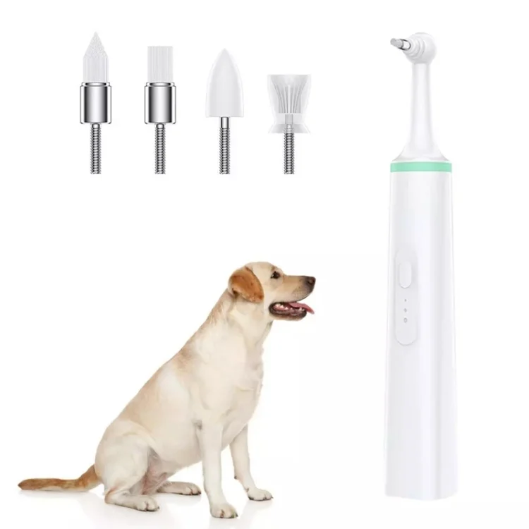 TBD069604901A.webp Pet Electric Toothbrush Tooth Polisher Oral Cleaning Plaque Removal Tool - Image 1