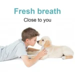 Pet Electric Toothbrush Tooth Polisher Oral Cleaning Plaque Removal Tool - Image 11