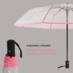Creative Transparent Folding Umbrella 8 Bones Automatic Umbrella - Image 5