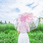 Cherry Blossom Transparent Triple-fold Umbrella Individual Folding Umbrella - Image 5