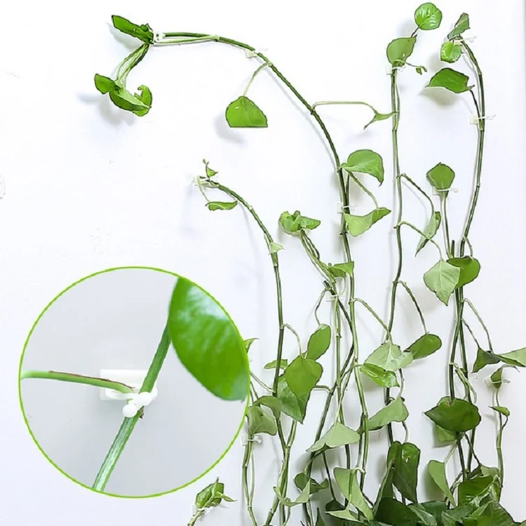TBD070132001A_1.webp 10 PCS Lulu Climbing Wall Fixer Vine Climbing Wall Sticking Hook - Image 2