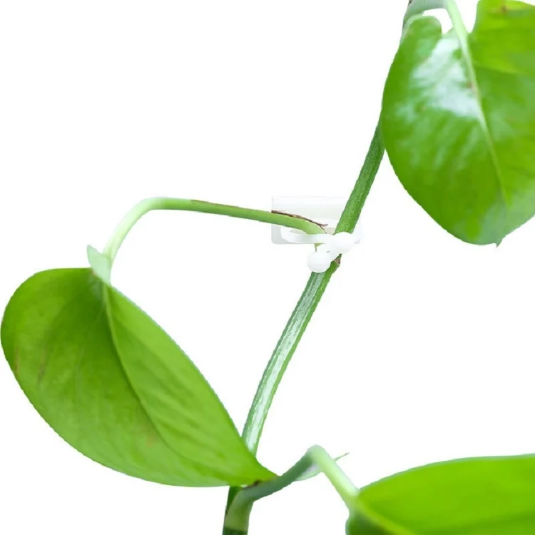 TBD070132001A_2.webp 10 PCS Lulu Climbing Wall Fixer Vine Climbing Wall Sticking Hook - Image 3