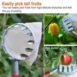 Metal Fruit Picker Convenient Fabric Orchard Gardening Apple Peach High Tree Picking Tools - Image 3