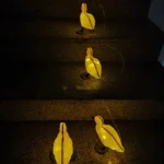 Solar Power Duck Outdoor Courtyard Decoration Lamp - Image 6