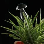 Mushroom Shape House Plants Flowers Water Feeder Automatic Self Watering Clear Glass Devices - Image 4