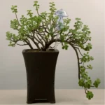 Mushroom Shape House Plants Flowers Water Feeder Automatic Self Watering Clear Glass Devices - Image 5