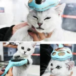 Footprint Pet Hair Removal Comb Dog Cat Hair Remover - Image 5