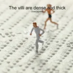 Home Bedroom Carpet Strip Room Bedside Lamb Cashmere Non-slip Mat - Image 6