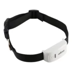 TK-909 GPS / GPRS / GSM Pet Locator Pet Collar Real-time Tracking Device - Image 2