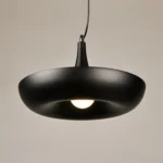 Home Decoration LED Hanging Garden Plant Lamp Potted DIY Chandelier Lighting(Warm White) - Image 2