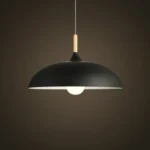 40W 45cm Minimalist Creative Personality Semi-circular Lid Chandelier Wrought Iron Single-head Restaurant Living Room Hotel Lamps