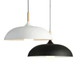 40W 45cm Minimalist Creative Personality Semi-circular Lid Chandelier Wrought Iron Single-head Restaurant Living Room Hotel Lamps - Image 5