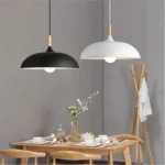 40W 45cm Minimalist Creative Personality Semi-circular Lid Chandelier Wrought Iron Single-head Restaurant Living Room Hotel Lamps - Image 6