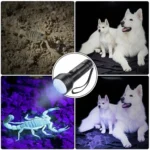 51 LEDs 395nm UV LED Flashlight, Support Detect Pet Urine - Image 6